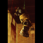 Disturbing image of grotesque black figure wrapped in twine hung from ceiling