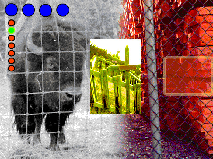 Collage of bison, old graveyard and large stack of lumber, coloured dots superimposed